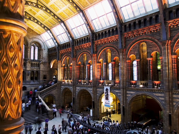 Natural History Museum London